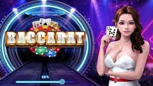 377bet